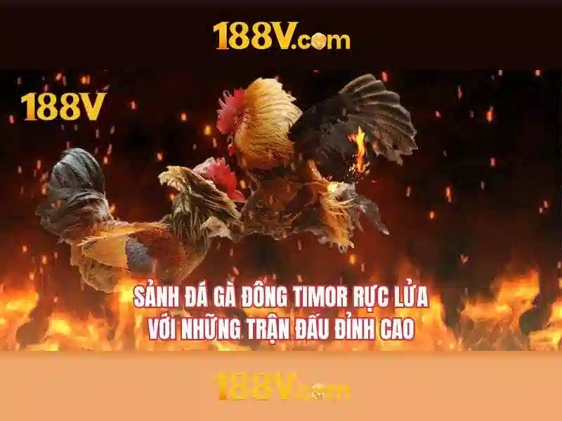 Tải 188V – Trải Nghiệm Giải Trí Trực Tuyến Đỉnh Cao Với Trò Chơi Slot Đa Dạng