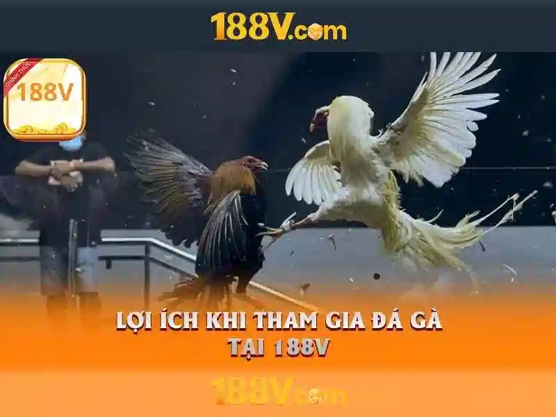 Tính năng đột phá trong trò chơi Slot