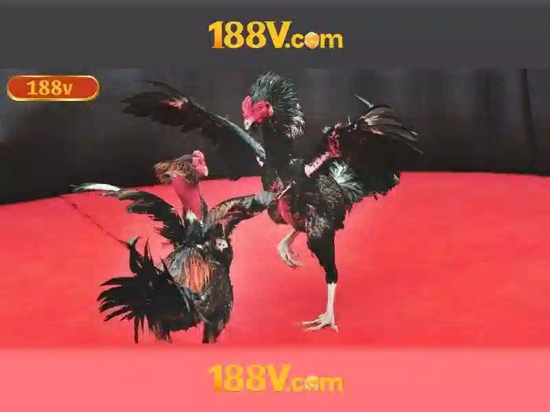 Tại Sao Nên Chọn 188V