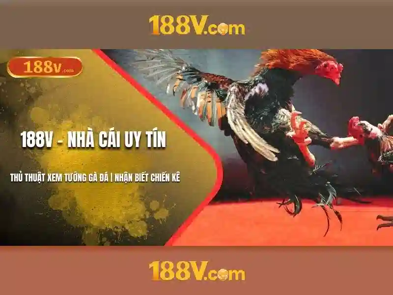 188V – Link Dự Phòng 188V Không Bị Chặn 2026 | Trải Nghiệm Slot Đỉnh Cao