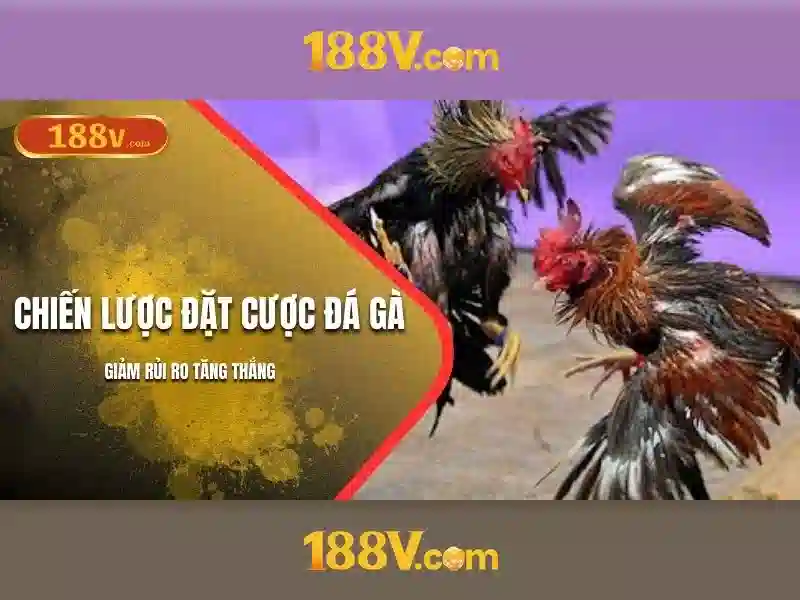 Điểm Nổi Bật Của 188V