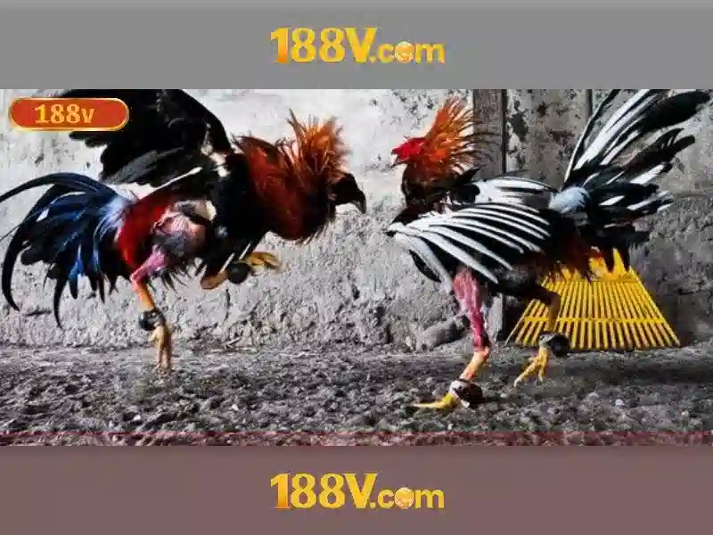188V – Link Vào Trang Chủ 188V Chính Thức Không Bị Chặn 2026 | Tải 188V Miễn Phí
