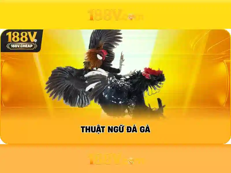 Hướng Dẫn Đăng Ký Tài Khoản 188V
