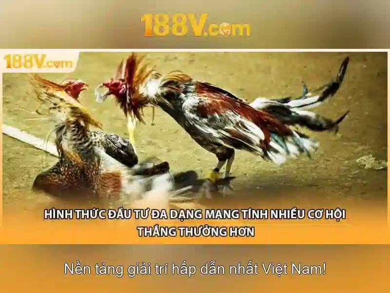 Khuyến Mãi 188V