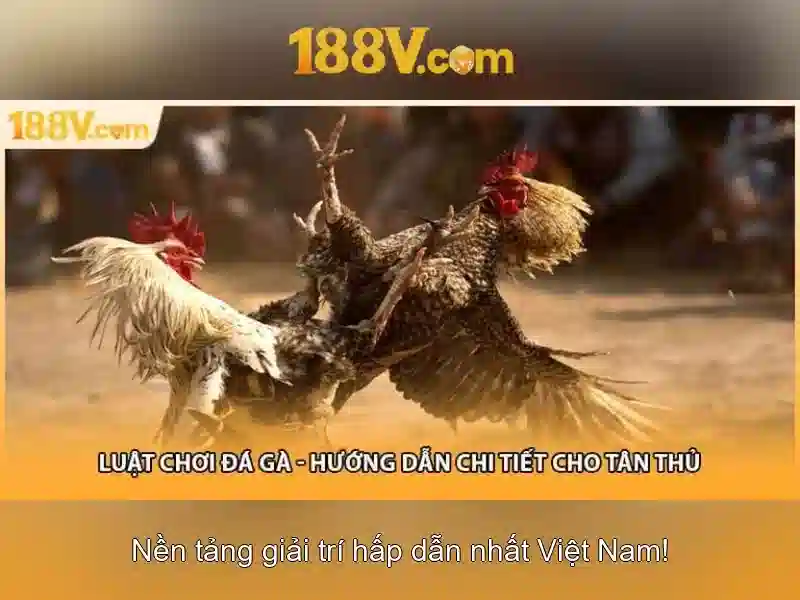 Ưu Đãi 188V