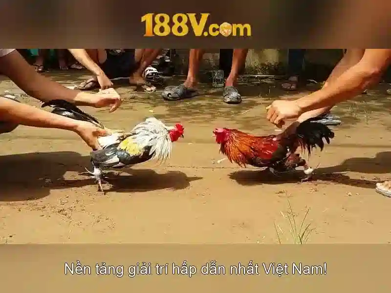 Slot 188v
