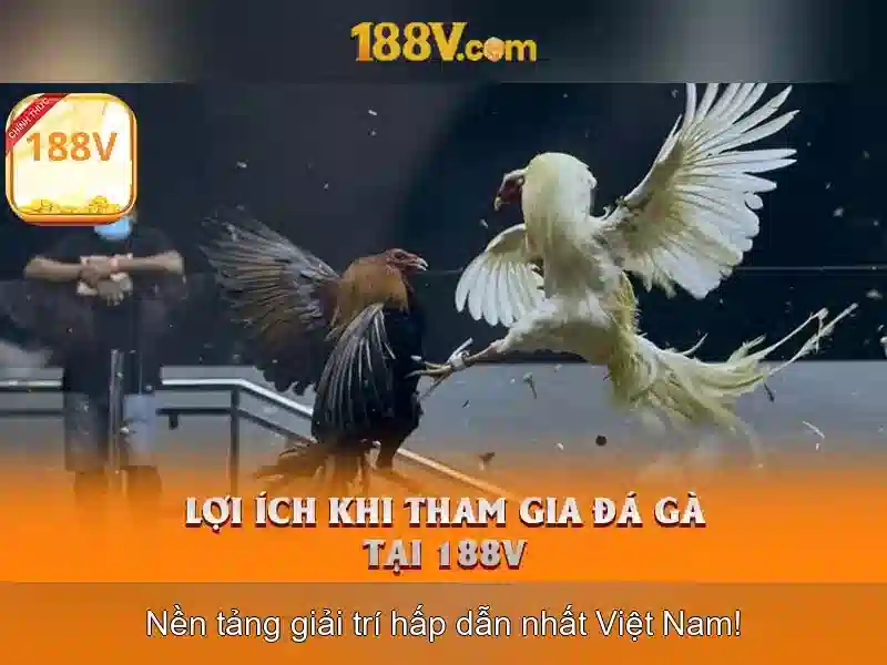 Trải Nghiệm Người Dùng 188V