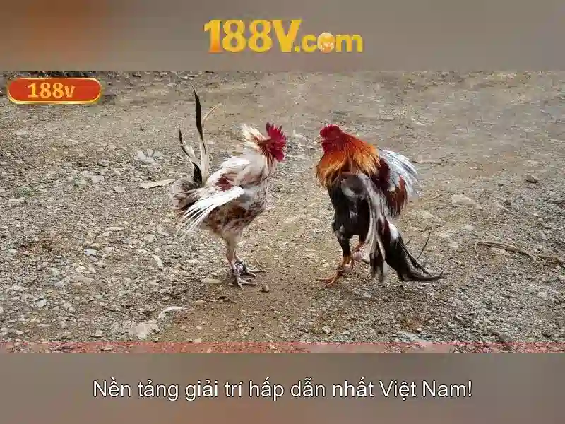 Ưu Điểm 188v Chính Thức