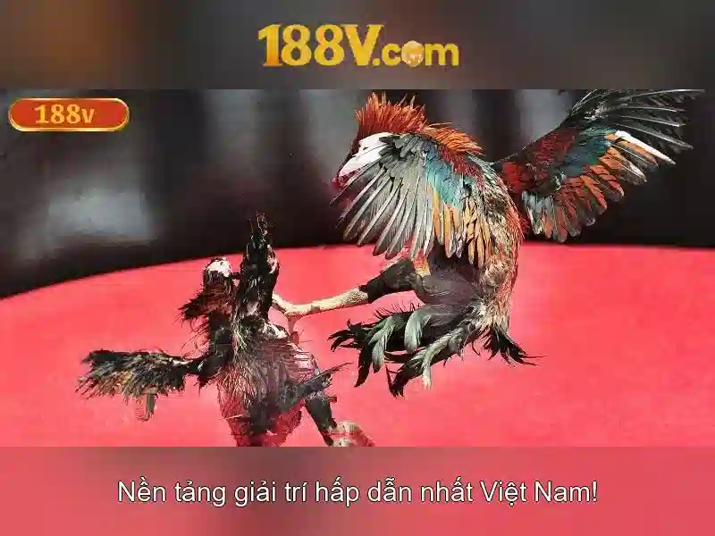 Trải Nghiệm Cá Cược Slot Đỉnh Cao Với 188v Tải App