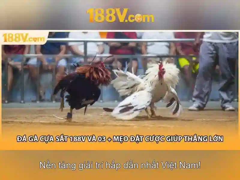 Trò Chơi Slot