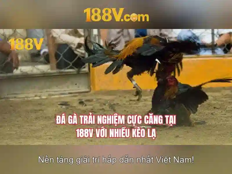 Lý Do Chọn 188V