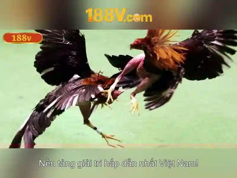 Link dự phòng 188v