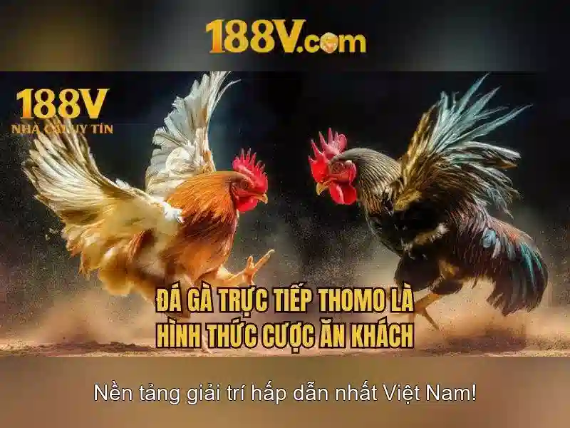 Chương Trình Ưu Đãi Dành Cho Thành Viên 188V