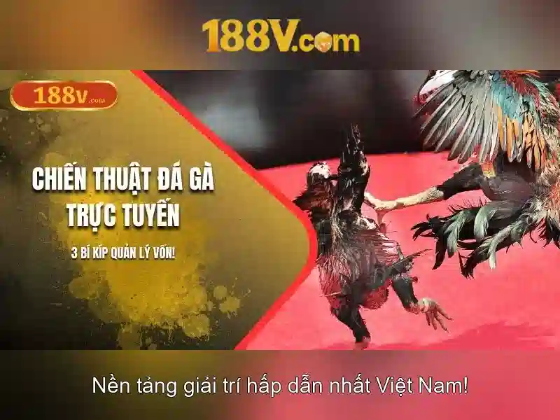 Hướng Dẫn Đăng Ký 188V